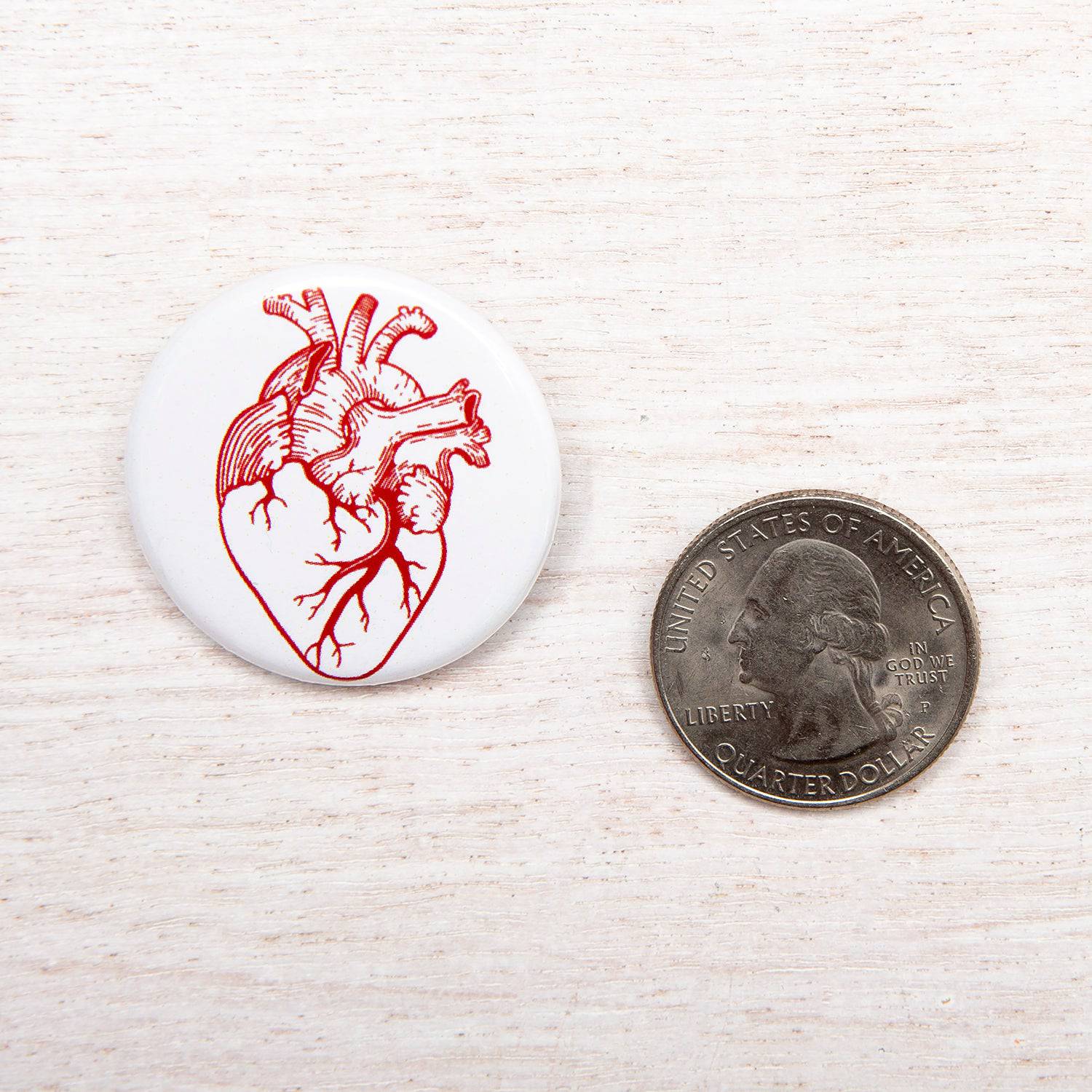 Pinback button with red anatomical heart illustration next to a US quarter on wood surface